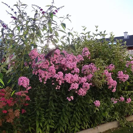 Garni Jaegerheim Gasthuis