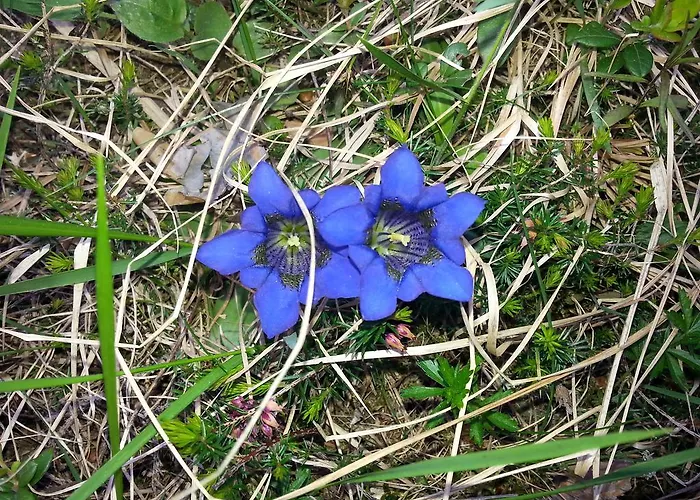 Garni Jaegerheim سيرفاوس